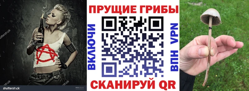 Галлюциногенные грибы ЛСД  где продают наркотики  Льгов 