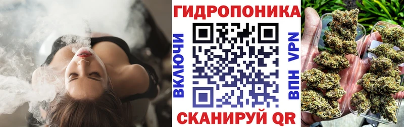 Шишки марихуана конопля где продают Льгов